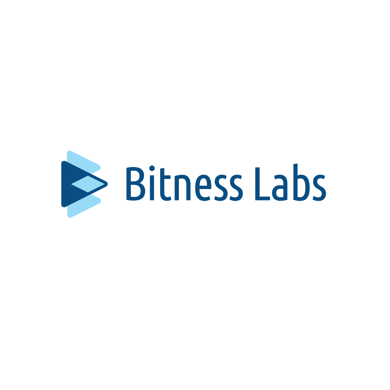 Bitness Labs Logo